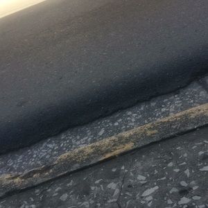 Meet your Posher, Shan